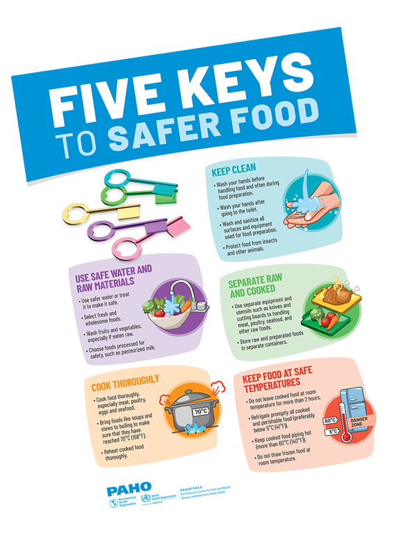 Five keys to safe food preparation
