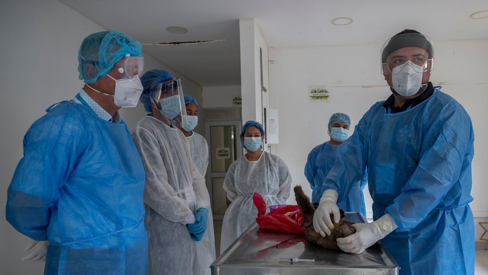 Colombia fortalece la vigilancia de la Fiebre Amarilla con enfoque territorial desde el Putumayo
