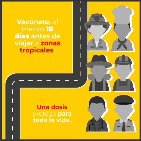 infografia fiebre amarilla