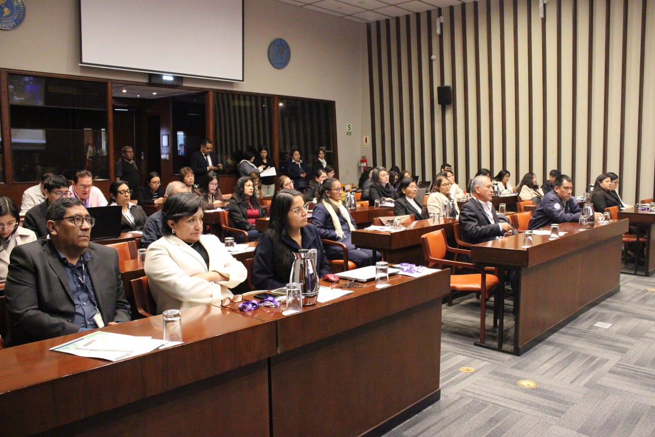 OPS/Luz Rospigliosi || Representantes de DIRESA, GERESA y DIRIS de las regiones de Perú, durante la Reunión Técnica Nacional de Evaluación de los Programas Presupuestales en Salud Mental. 