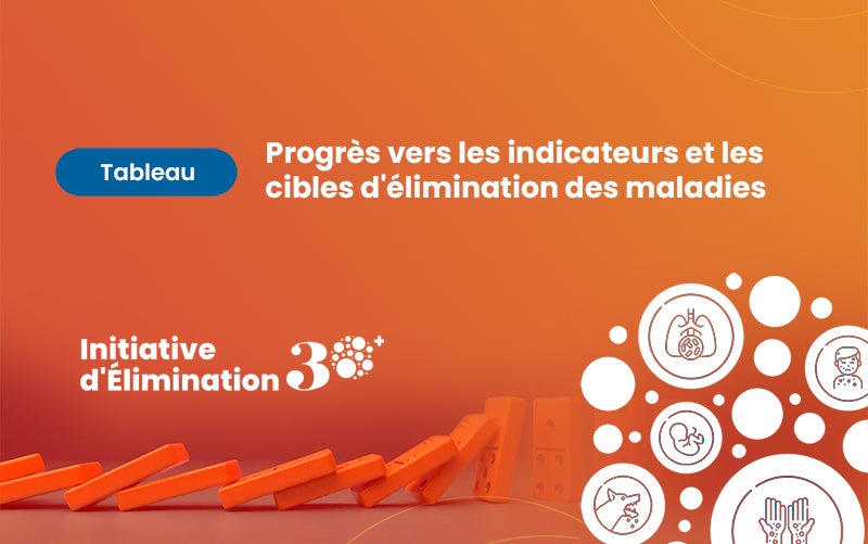 Tableau de bord des progrès accomplis dans la réalisation des objectifs d'élimination des maladies