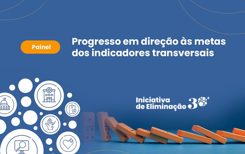 Painel sobre o progresso em direção às metas dos indicadores transversais
