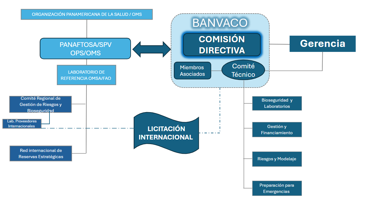 ""organigrama BANVACO