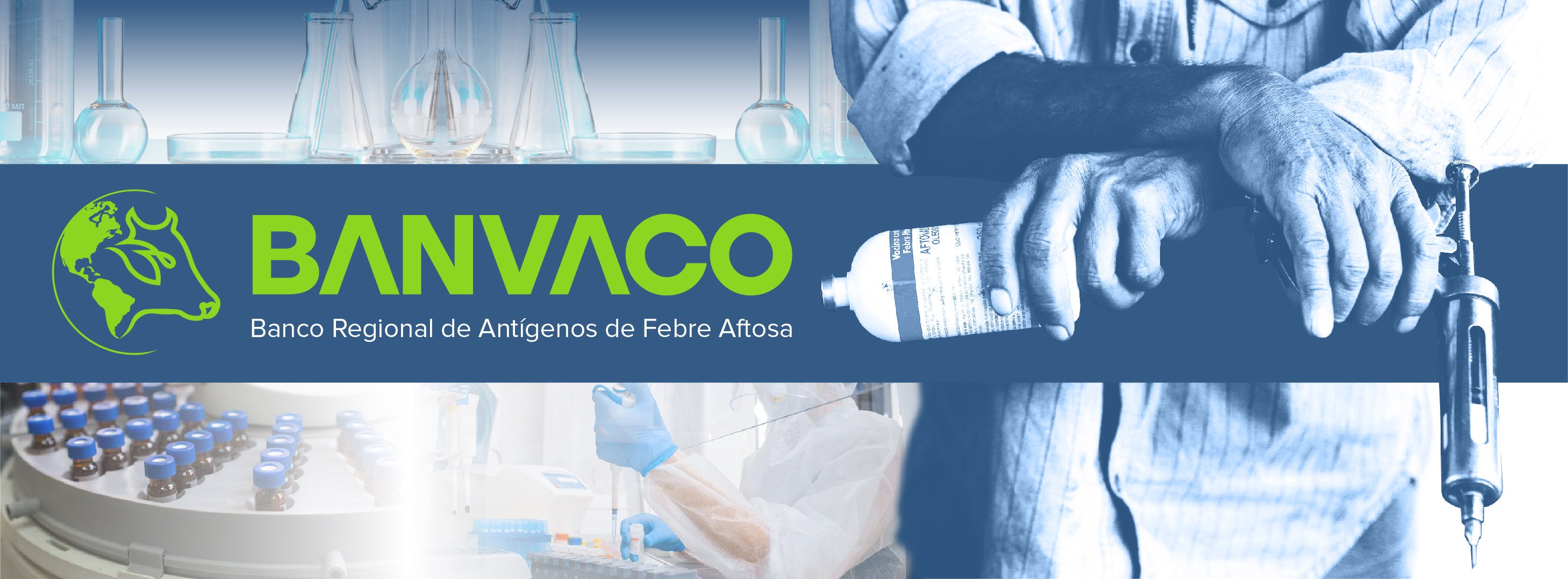 ""aft-banner-banvaco