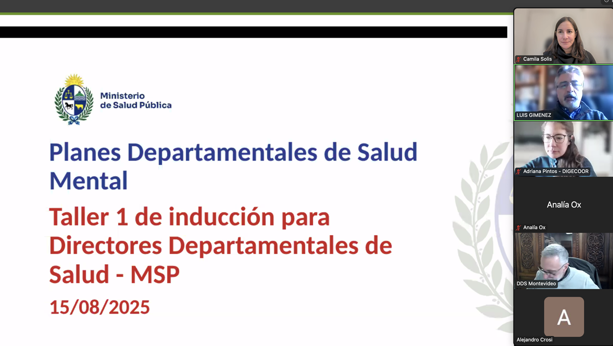 Pantalla reunion salud mental DDS