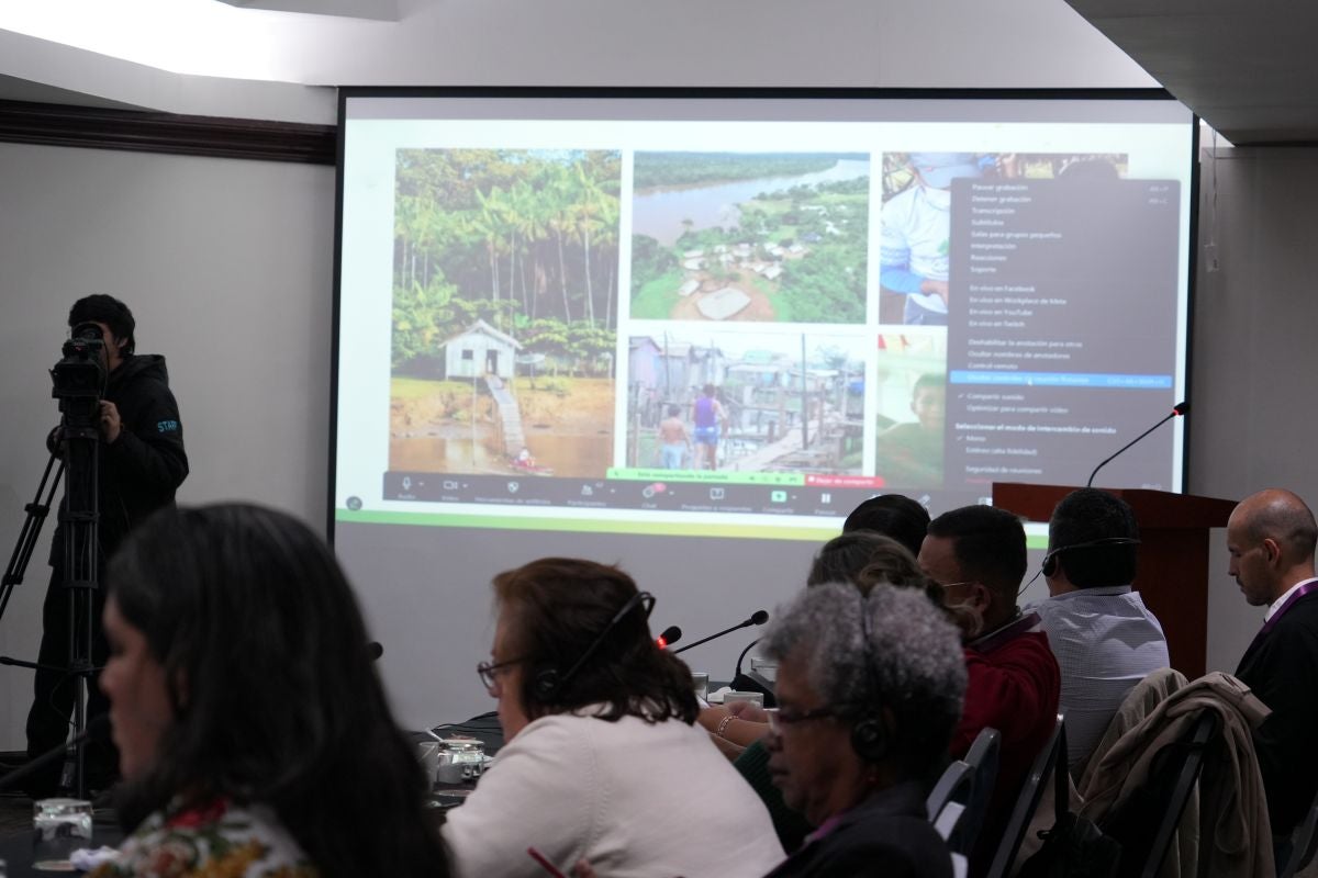 OPS/Luz Rospigliosi|| Presentación de Brasil sobre las acciones para la eliminación de la malaria. 