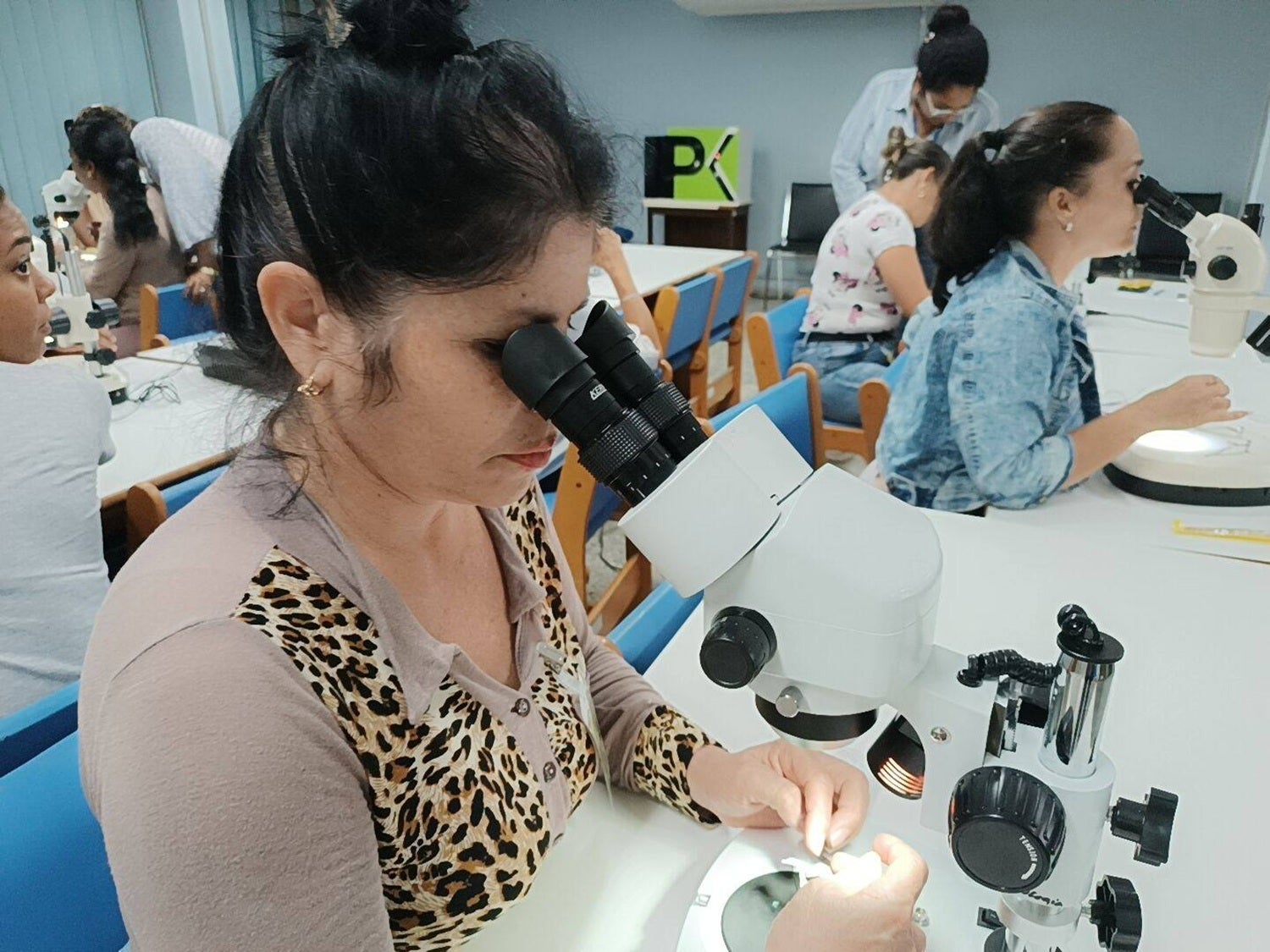 Sesiones curso internacional vectores en IPK