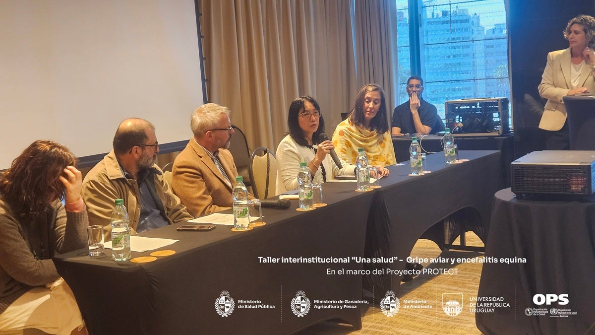 Proyecto PROTECT URY 2