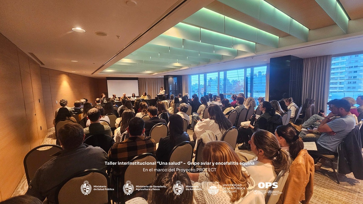 Proyecto PROTECT URY 3