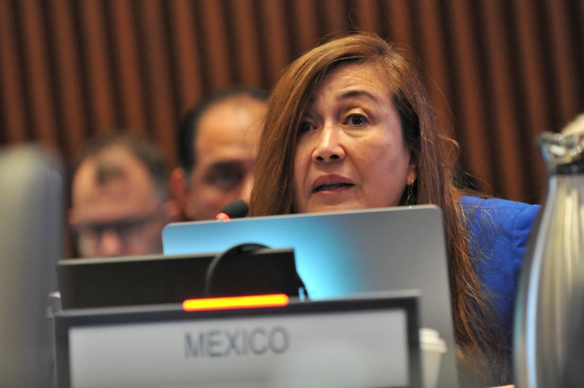 Margarita Pérez Villaseñor, en representación del secretario de Salud, David Kershenobich.