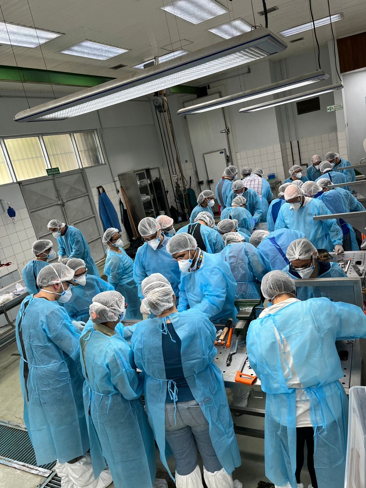 ""técnicos en laboratorio, análisis rabia canina