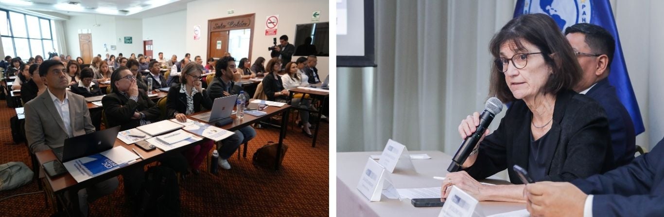 Reunión Determinantes Sociales de la Salud Perú