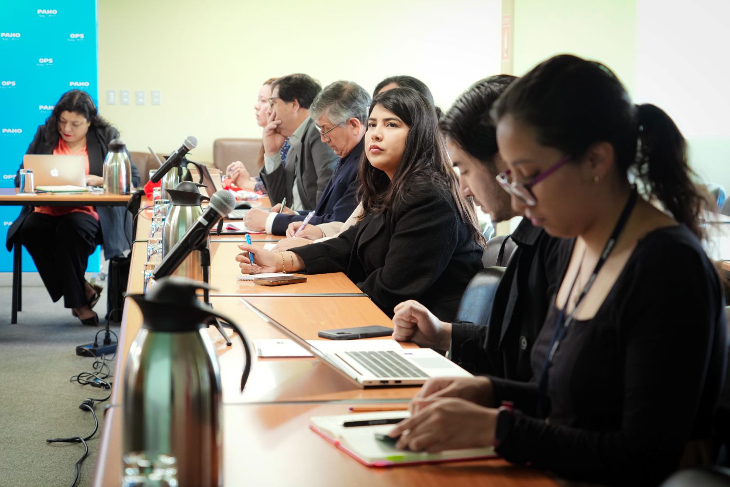 OPS/Luz Rospigliosi || Participantes de la reunión de socialización de los proyectos de decisiones a presentarse en COP11  