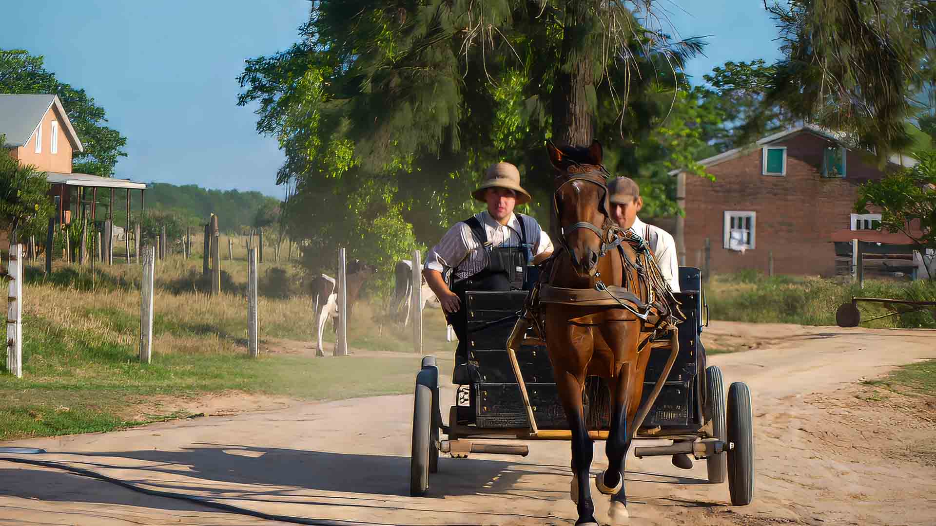 vacunacion colonias menonitas Bolivia