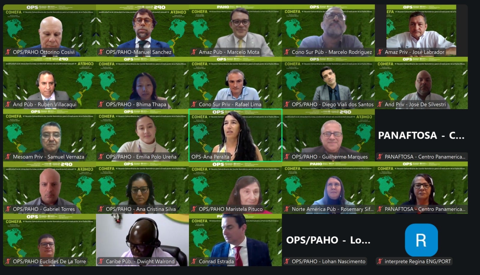 ""participantes de la cuarta reunión extraordinaria virtual del COHEFA