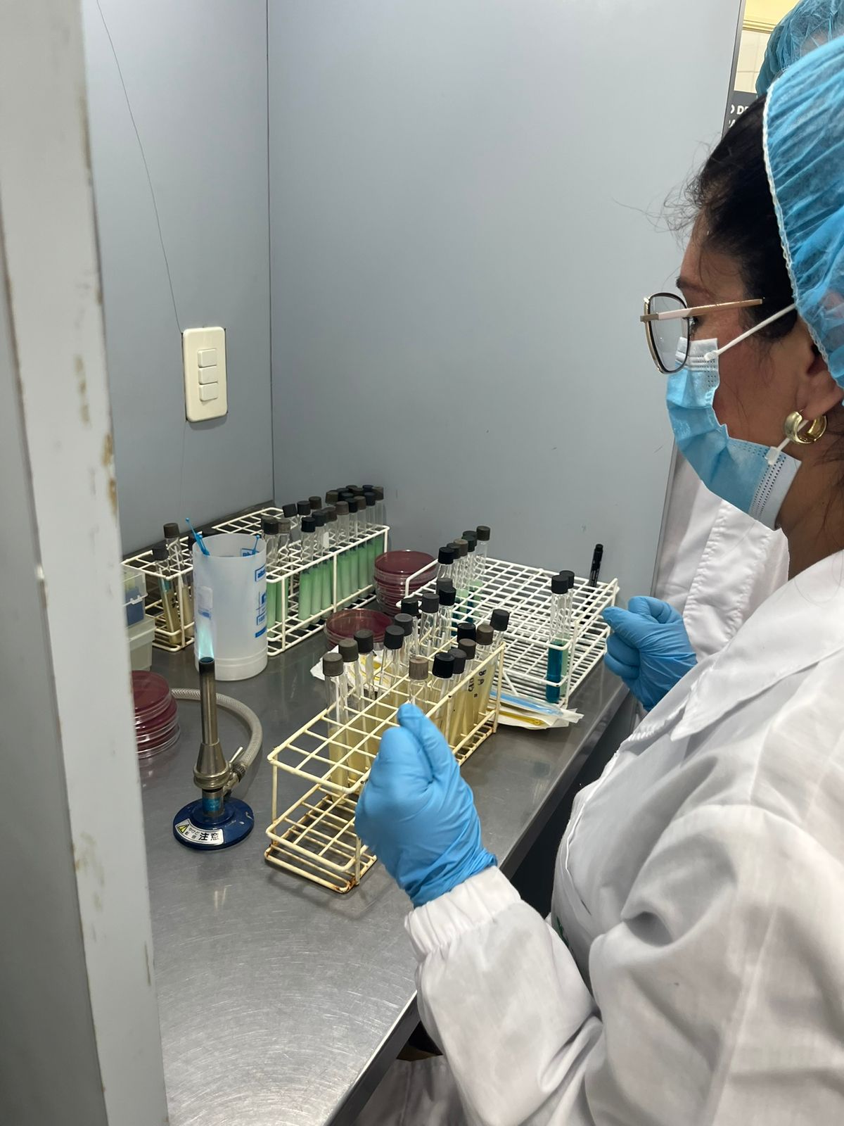 ""técnico de PANAFTOSA capacitando personal de laboratorio de Paraguay en inocuidad de alimentos y RAM