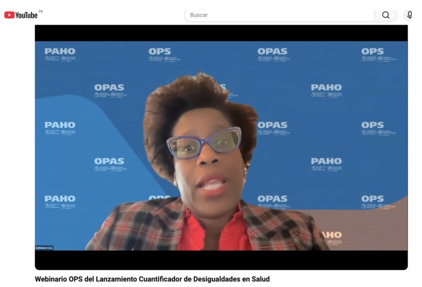 Cuantificador de Desigualdades en Salud