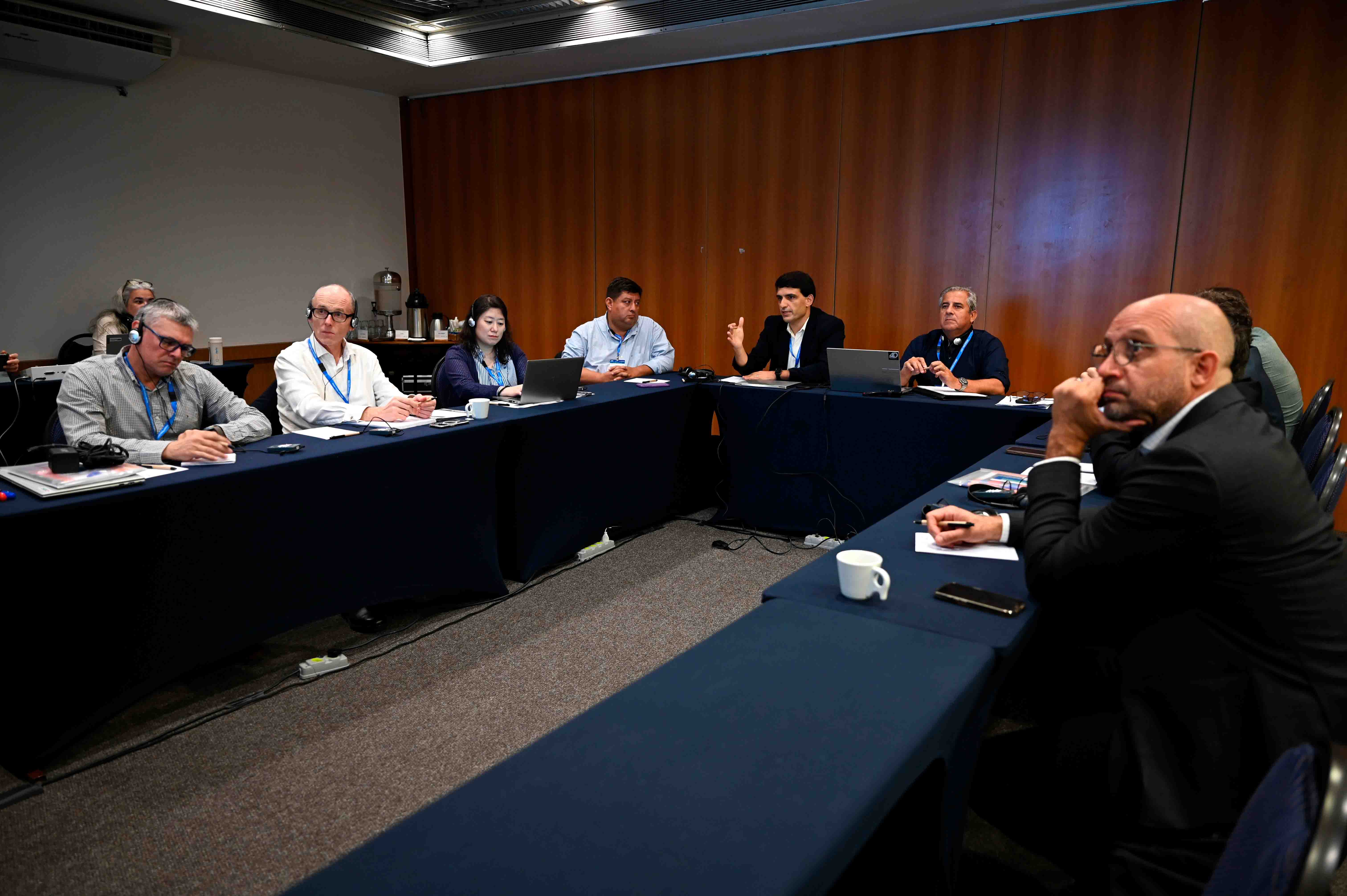 ""participantes del taller de vacunación de emergencia FMD