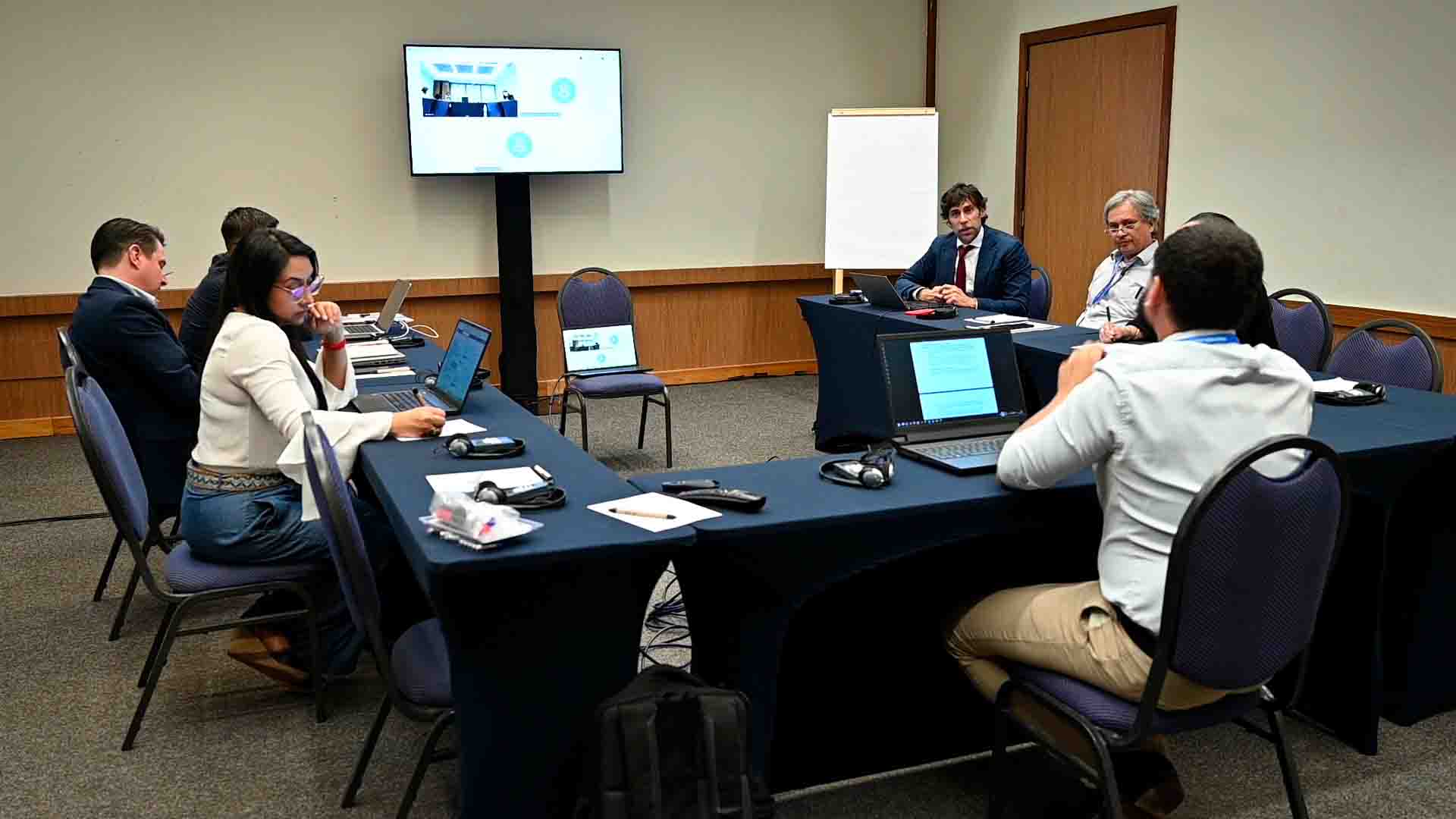 ""participantes del taller de vacunación de emergencia FMD