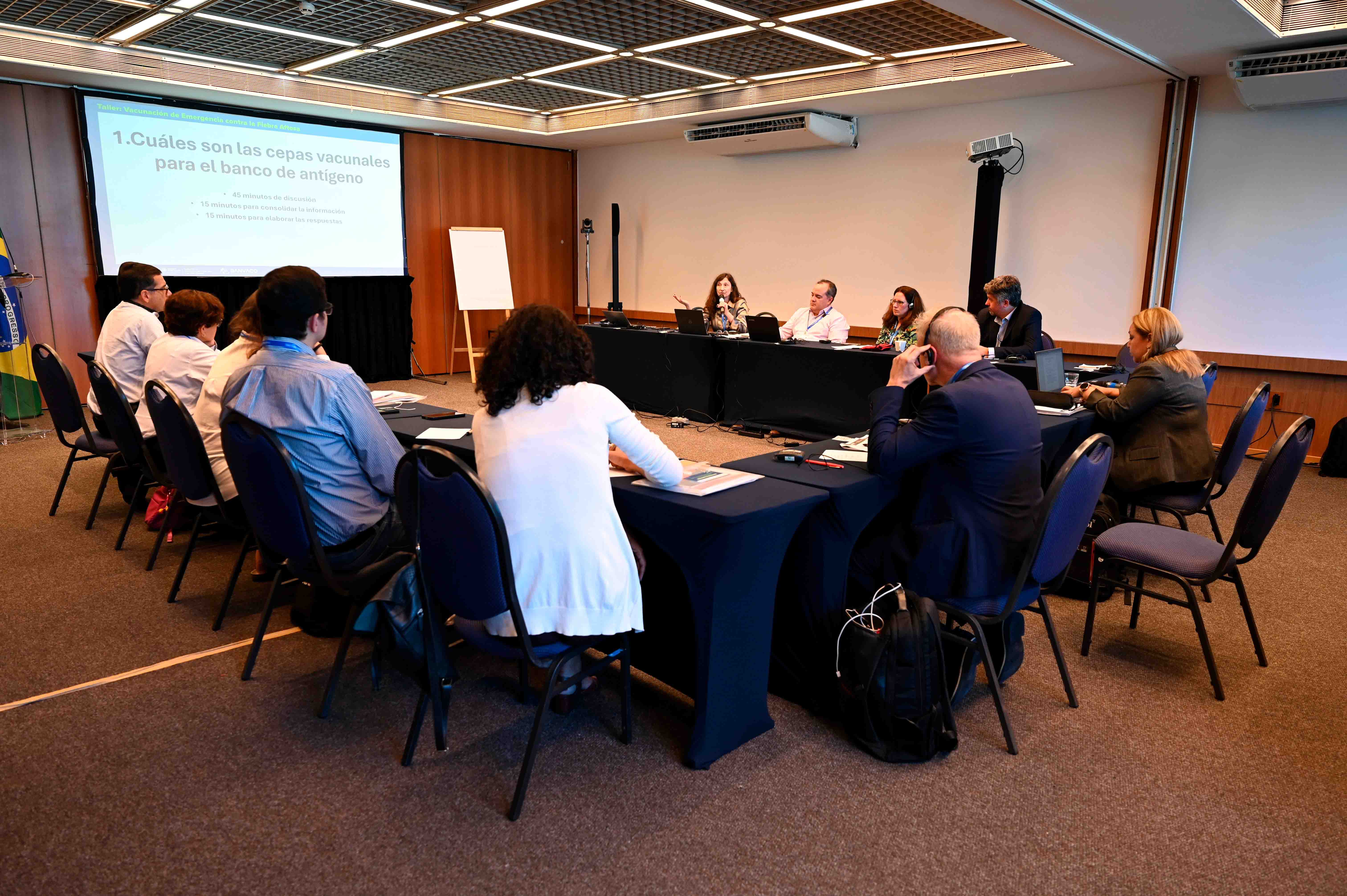 ""participantes del taller de vacunación de emergencia FMD