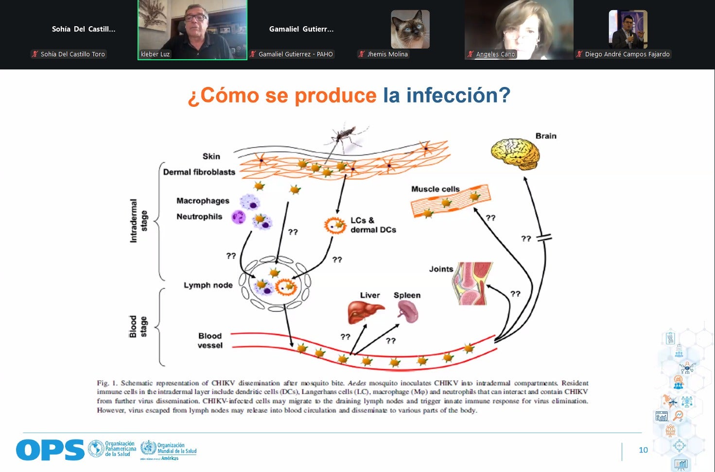 seminario chickunguña
