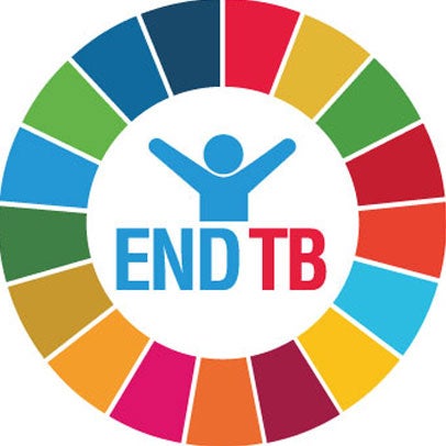 Political declaration of the UN high-level meeting of the General Assembly on the fight against TB