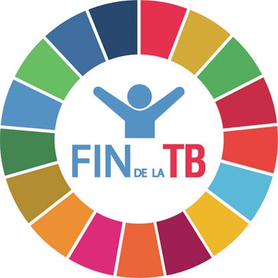 Reunión de alto nivel de la Asamblea General de Naciones Unidas