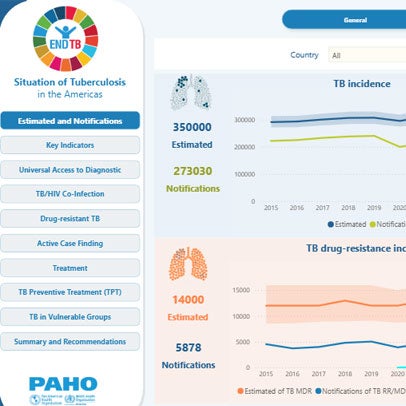 Situation of Tuberculosis in the Americas