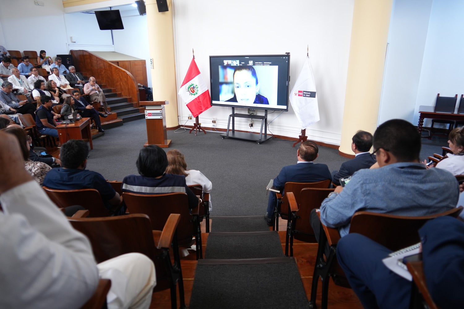 OPS/Luz Rospigliosi|| Participación -en remoto- de Natalia Houghton, oficial técnica en Políticas, Planificación y Evaluación de la Atención Primaria de Salud de la OPS.