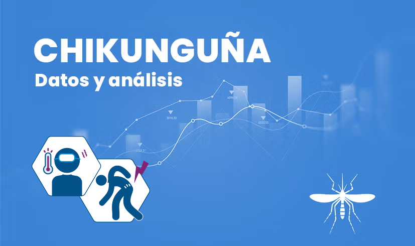 Banner chikunguña