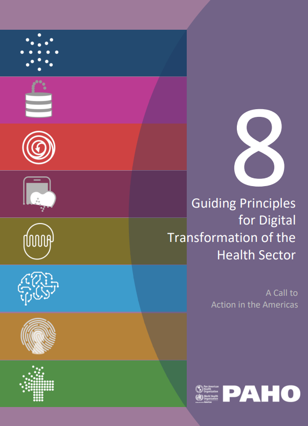 Eight guiding principles for the digital transformation of the health sector