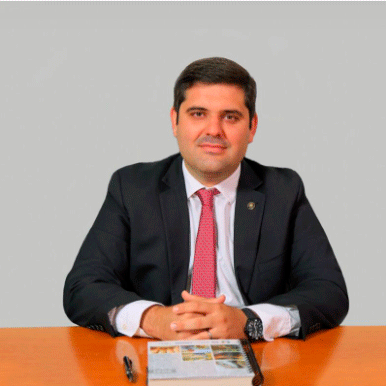 Delegado Sector Público