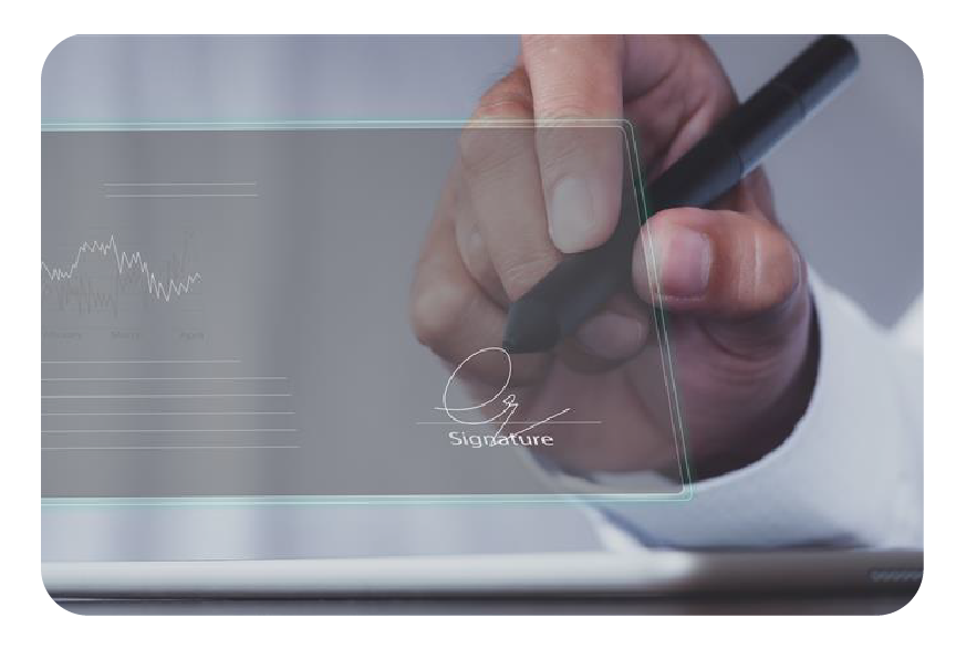 Article of the month