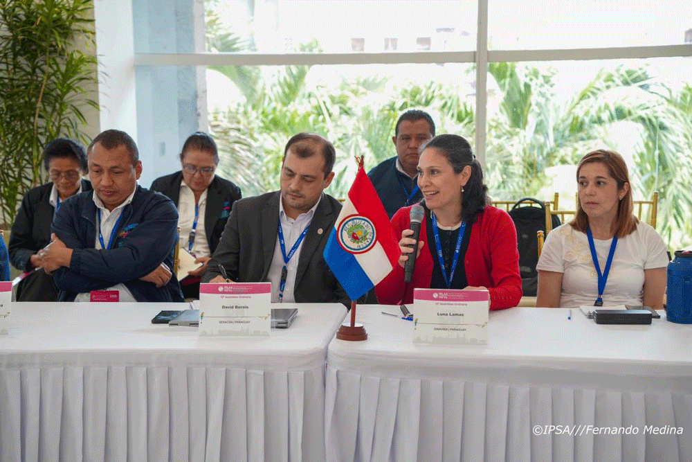 ""participantes de la 12 asamblea ordinaria de la rilaa 