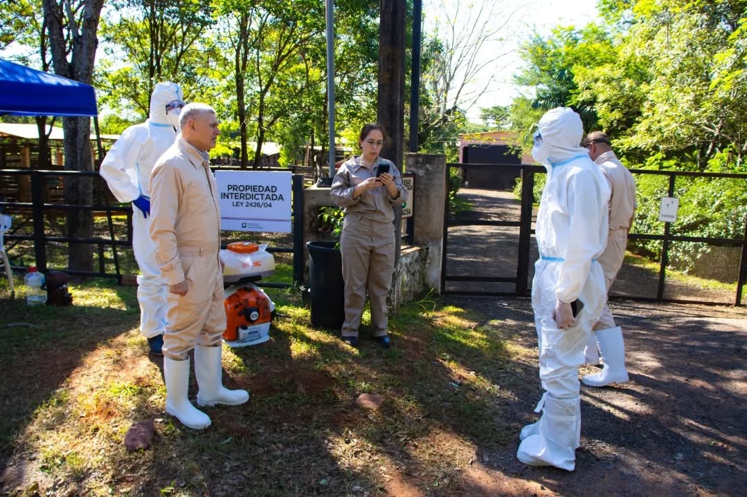 """participantes simulacro fiebre aftosa en paraguay