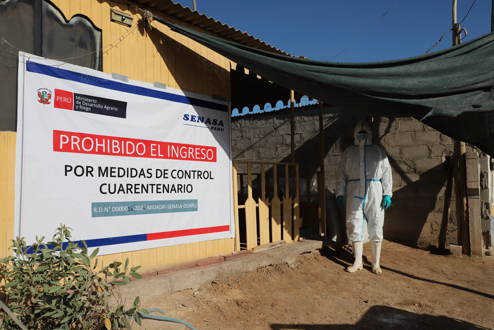 ""cartel de senasa prohibiendo paso a finca con sospecha de caso de fiebre aftosa en simulacro en perú