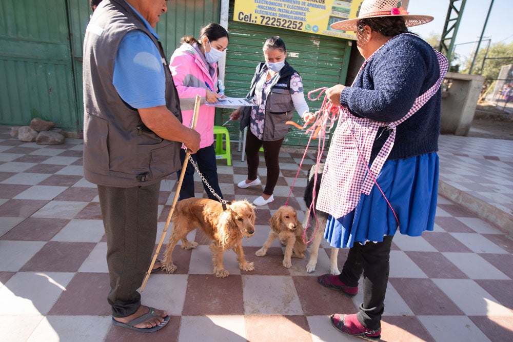 Activity to reach out to the community and vaccinate dogs