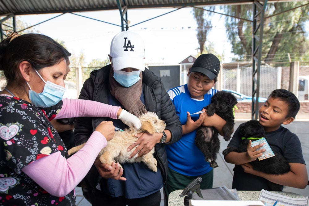 Actividad comunitaria de vacunación