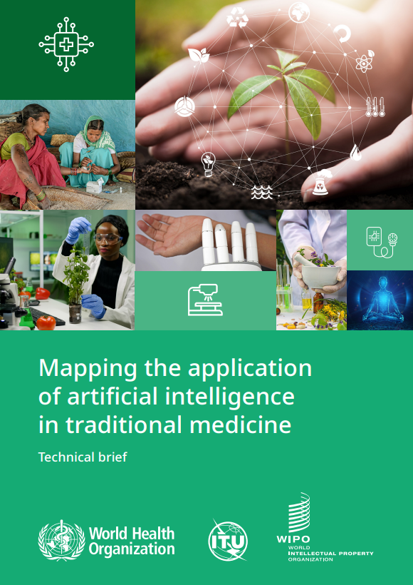 Mapping the application of artificial intelligence in traditional medicine: technical brief