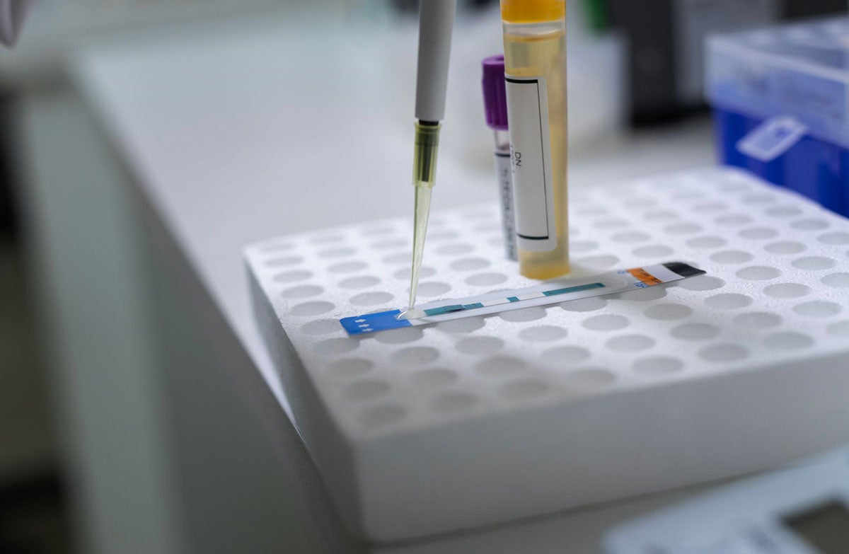 Lab testing