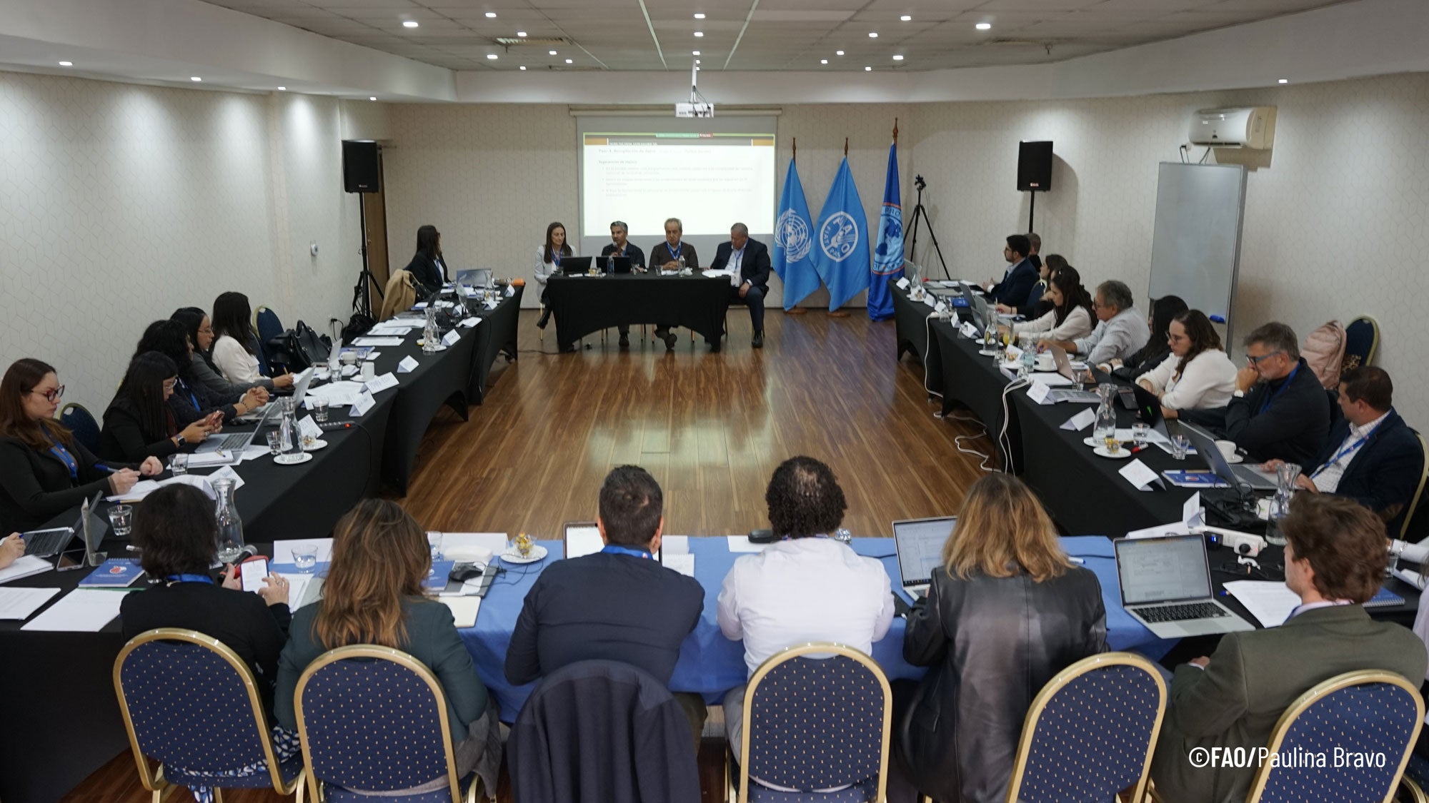 """"técnicos de ops, fao y Universidad de Minnesota en el Taller del Fondo STDF sobre análisis de riesgo en la inocuidad de los alimentos, en Chile