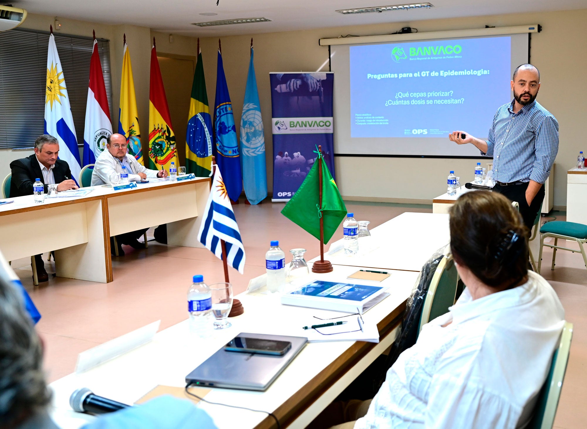 ""técnico de PANAFTOSA hablando sobre modelaje de fiebre aftosa en la cuarta reunión de BANVACO
