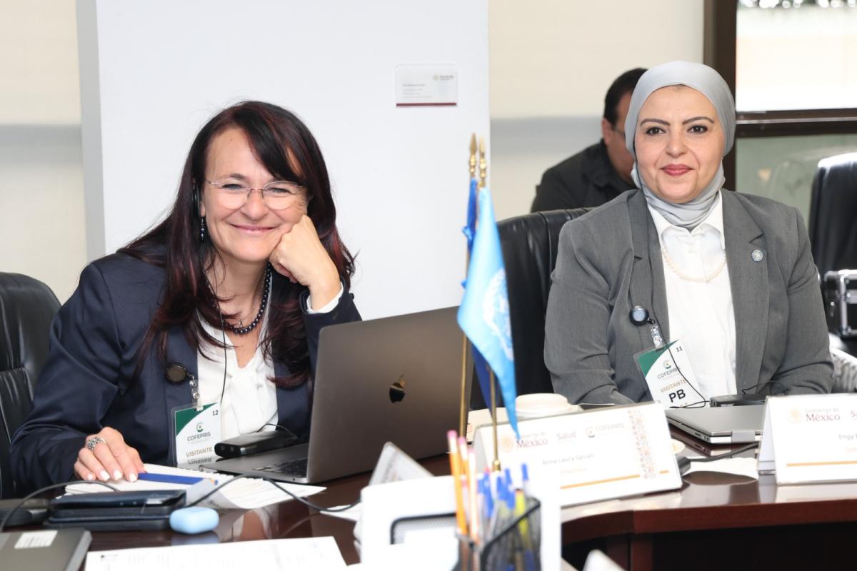 Integrantes de la misión técnica de la OMS