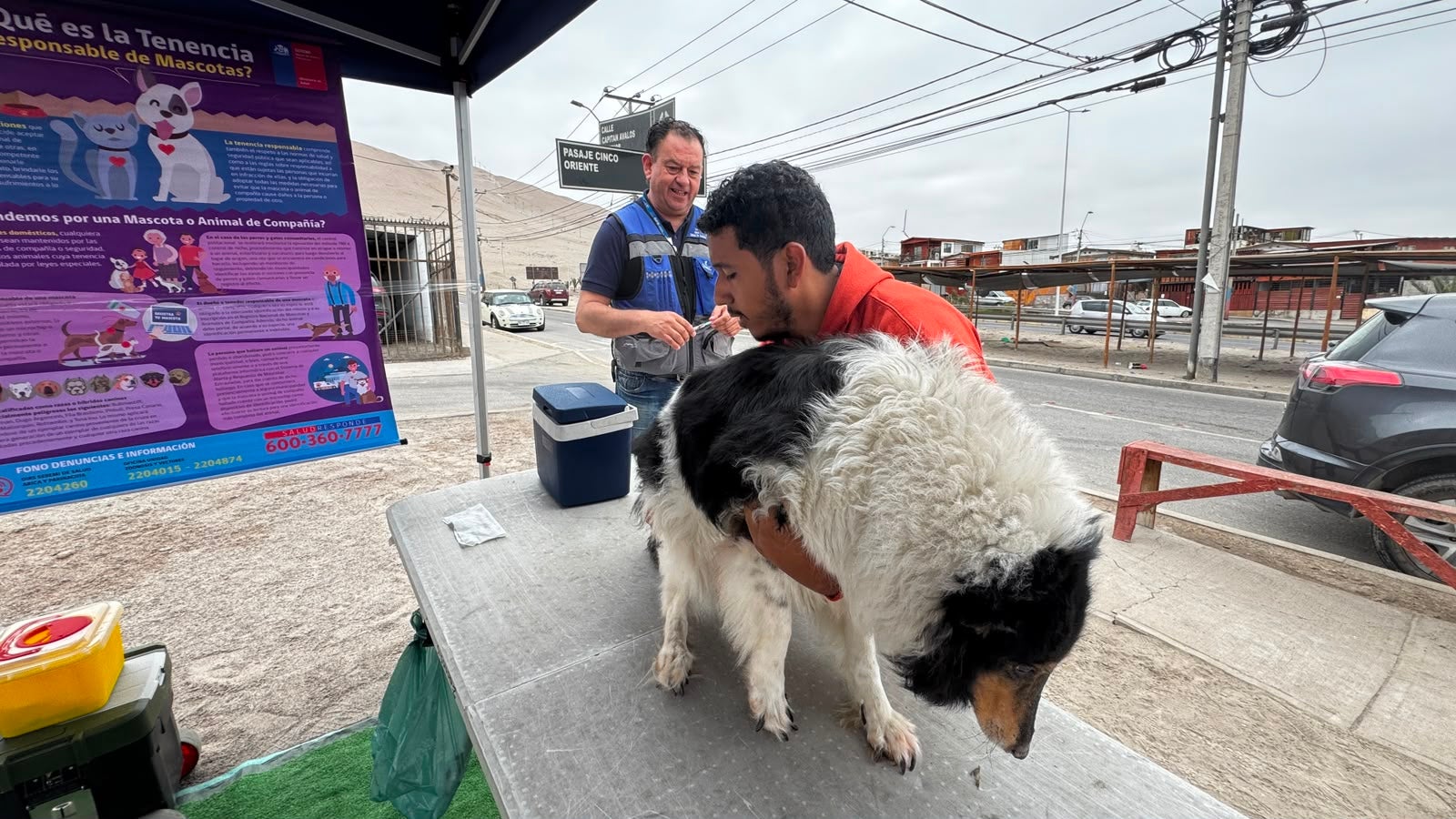 ""ciudadano vacunando perro contra la rabia en Chile