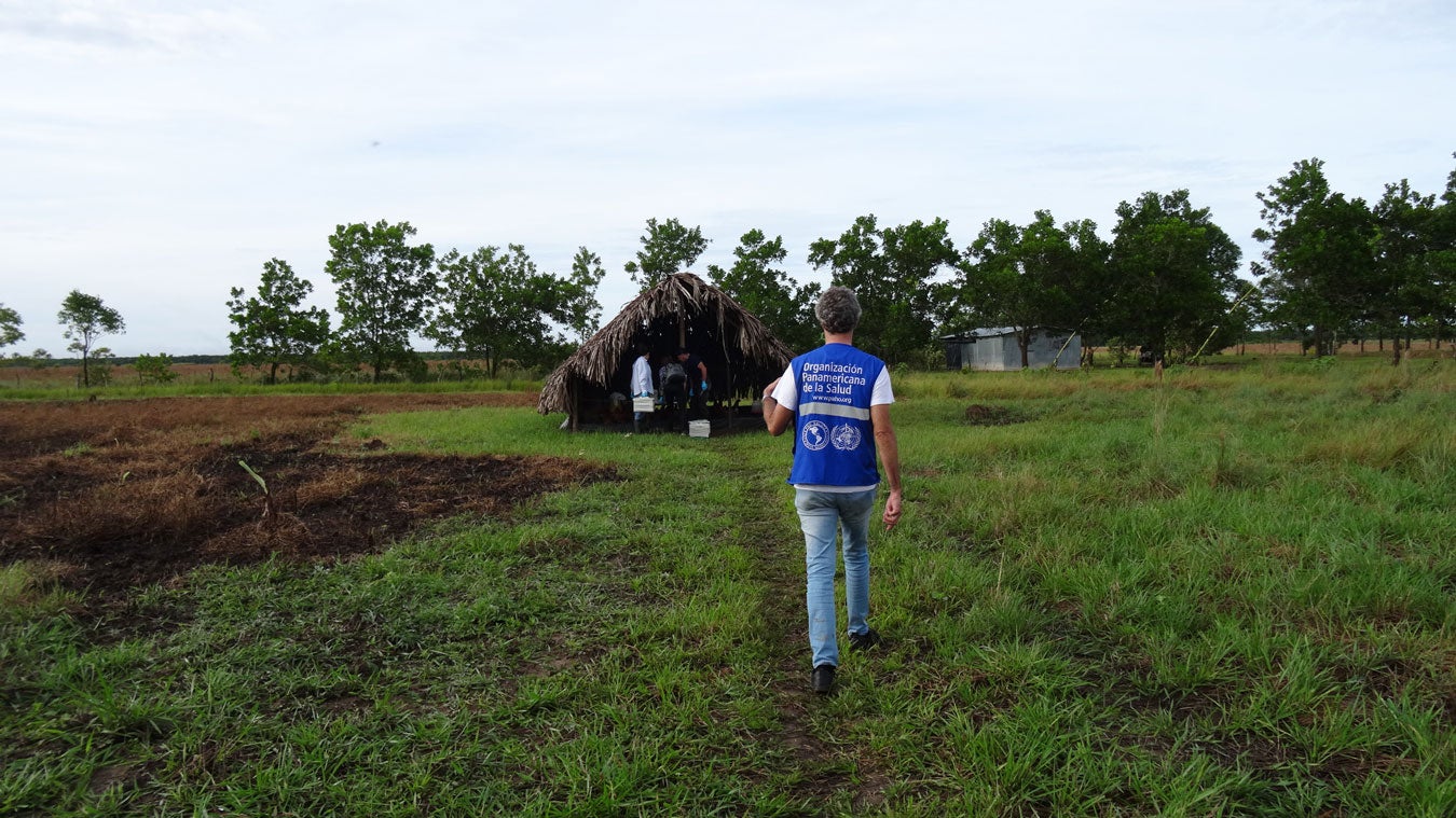 Staff in the field