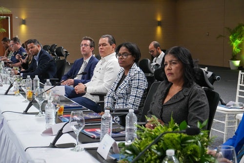 OPS/OMS reafirma su apoyo técnico a la implementación del Plan Estratégico Nacional de Seguridad Vial 2025–2030
