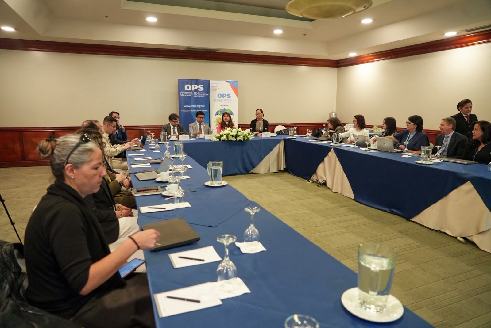 Participantes del sector salud en diálogo técnico sobre la nueva Empresa Pública de Abastecimiento
