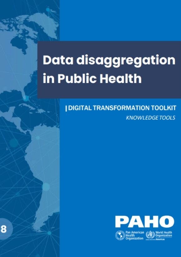 Data Disaggregation in Public Health