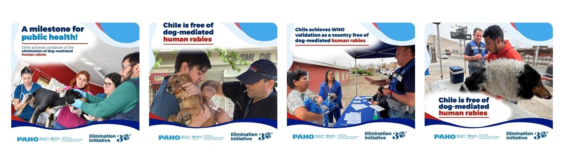 ""tarjetas redes sociales chile eliminación de la rabia transmitida por perros