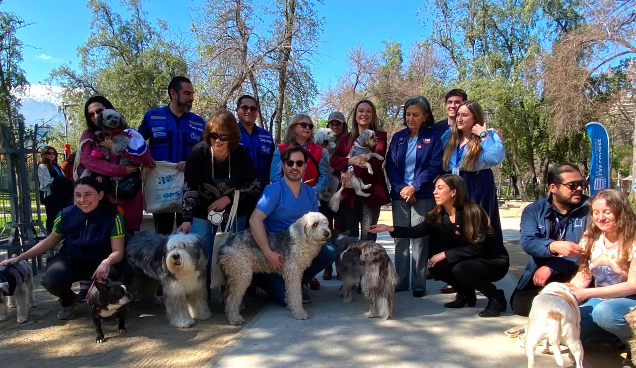  39 Foto de grupo de personas y perros al aire libre